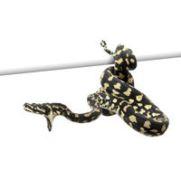 A closer look at Thawing Procedures Snakes Rapidly