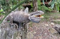 My Bearded Dragon's Paleo Diet - Part 1