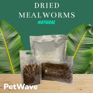 Dried Mealworms 1 kilo