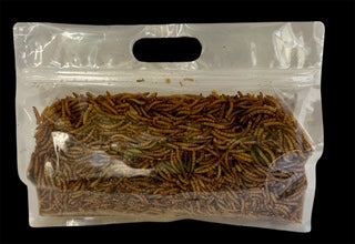 Dried Mealworms 300gms
