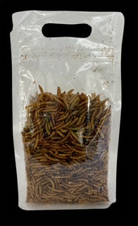 Dried Mealworms