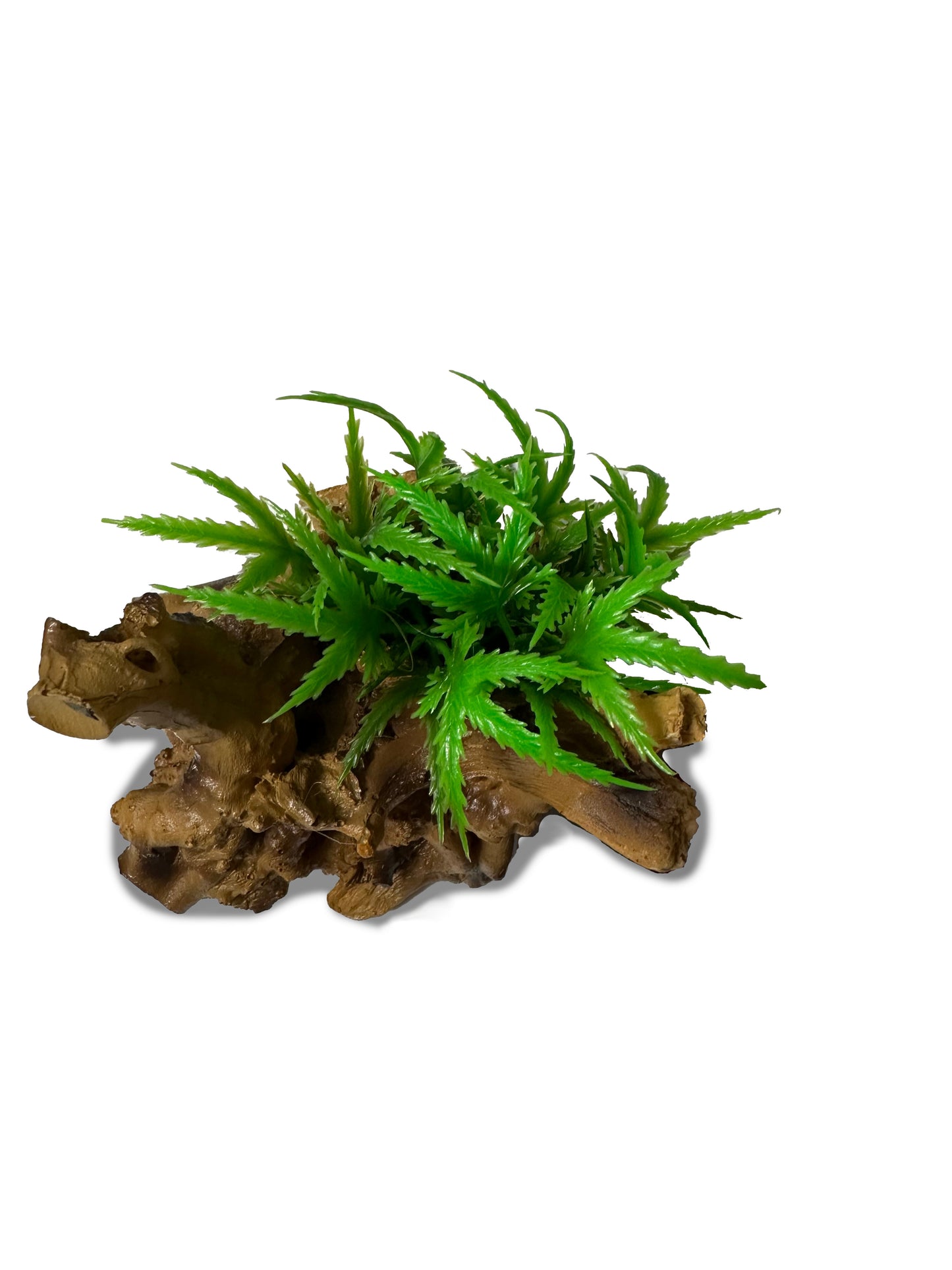 Small plant ornament | RODJ-06