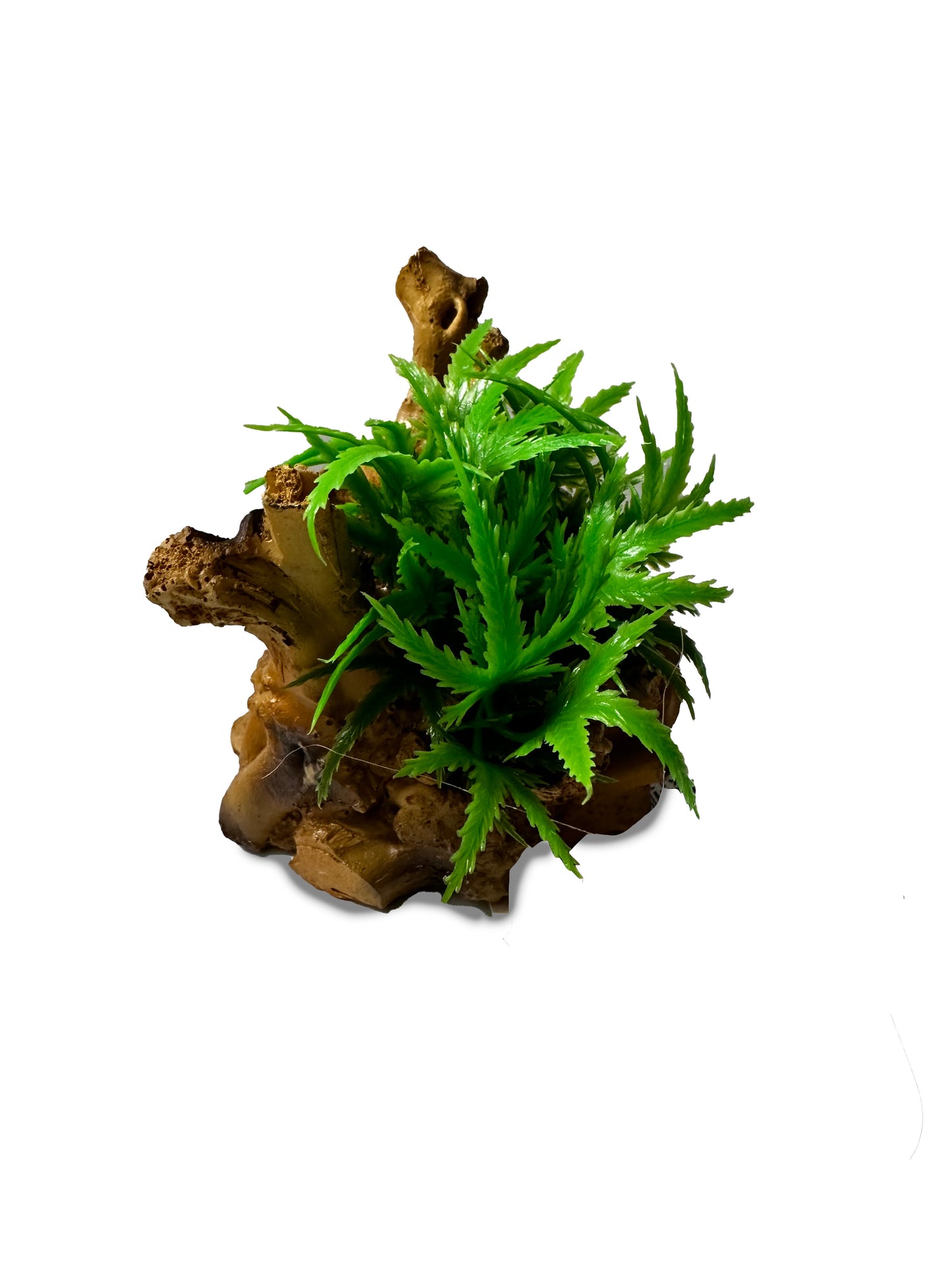 Small plant ornament | RODJ-06