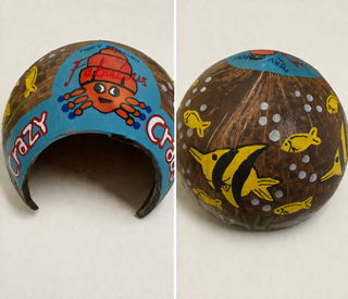 Hermit Crab Coconut Hut | For Live Hermie Crabs | Coenobita variabilis