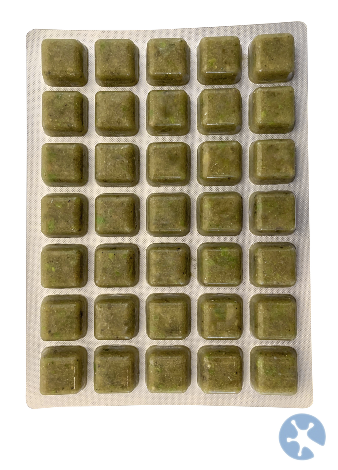 Marine Green Frozen Fish Food | Marine Fish Food Frozen