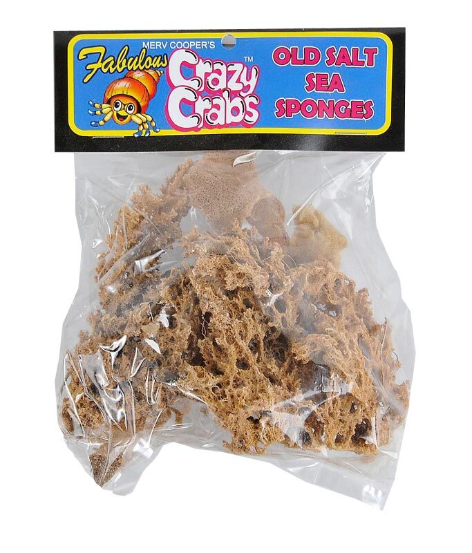 Crazy Crab Sea Sponges Bag for Pet Hermit Crabs | Crazy Crabs Calcium | Online Hermit Crabs Australia