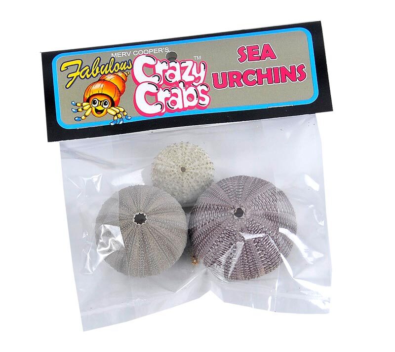 Crazy Crab Sea Urchin Bag for Pet Hermit Crabs | Crazy Crabs Calcium | Online Hermit Crabs Australia