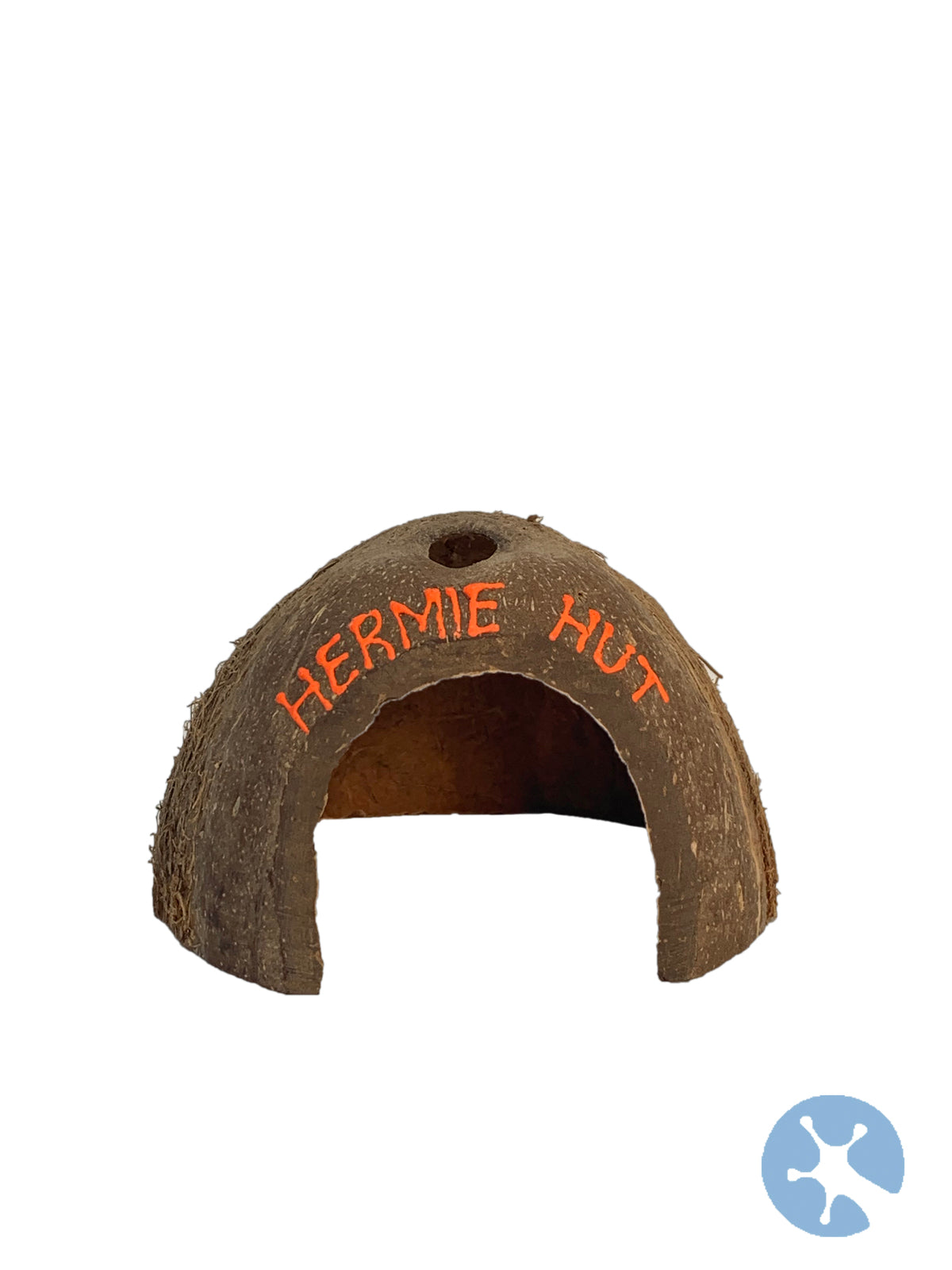 Hermit Crab Coconut Hut | For Live Hermie Crabs | Coenobita variabilis