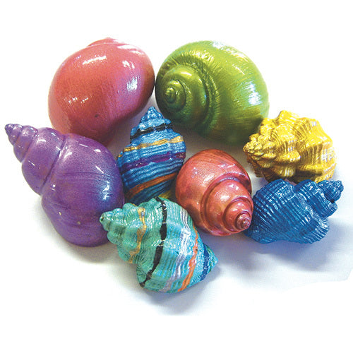 Spare Shell | Painted Hermit Crab Shell | Live Hermie Crabs | Coenobita variabilis