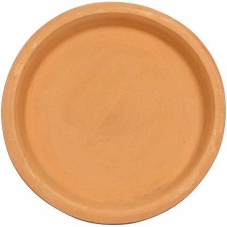 Natural Terracotta Water Shallow Dish | Water and Food Bowl for Hermit Crabs Online