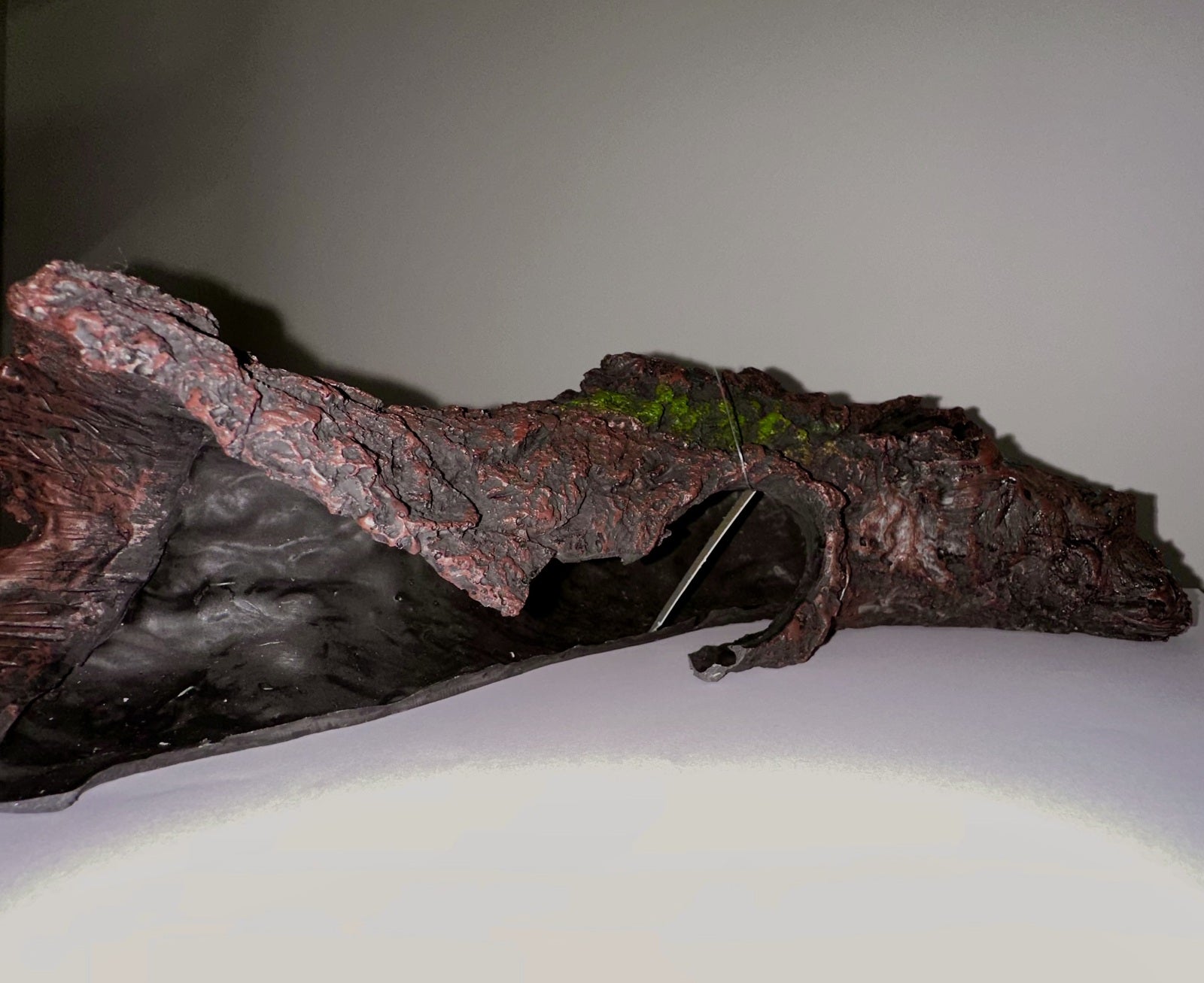 Large Hollow Log Cave