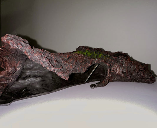 Large Hollow Log Cave