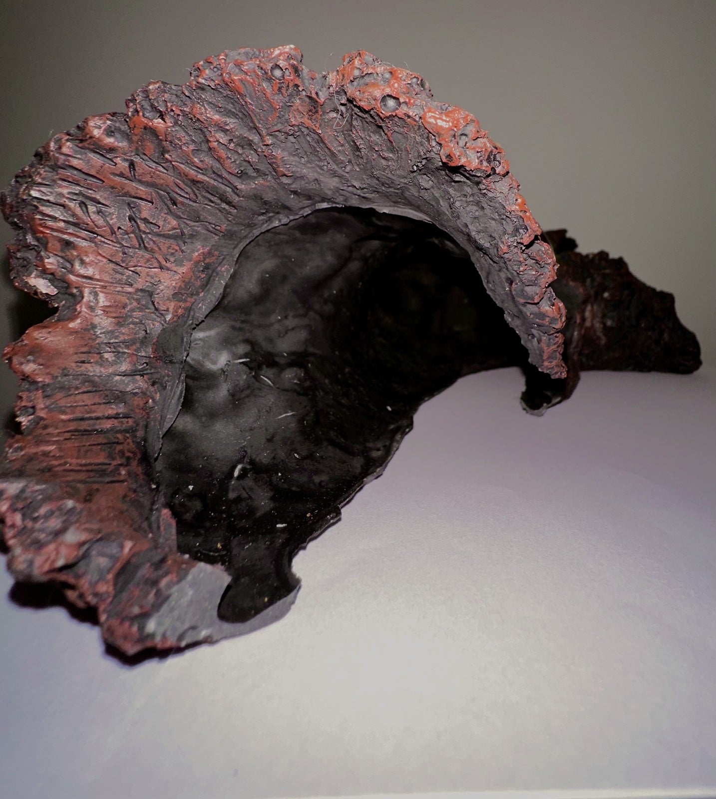 Large Hollow Log Cave