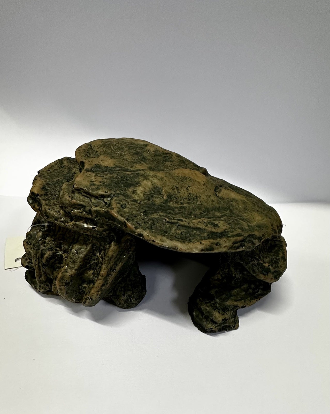 Brown Cave | Hide NS-5987