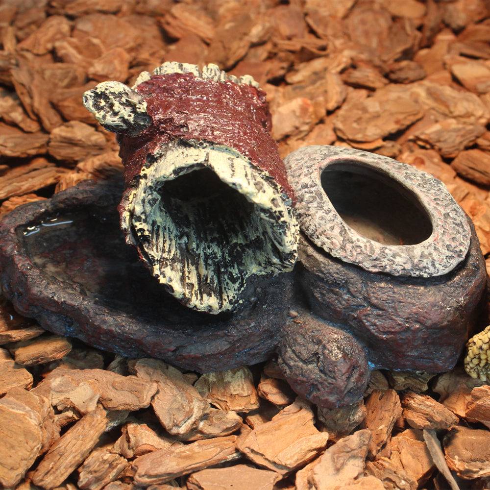 Reptile Resin Combo Food and Water Bowl | Natural Rock