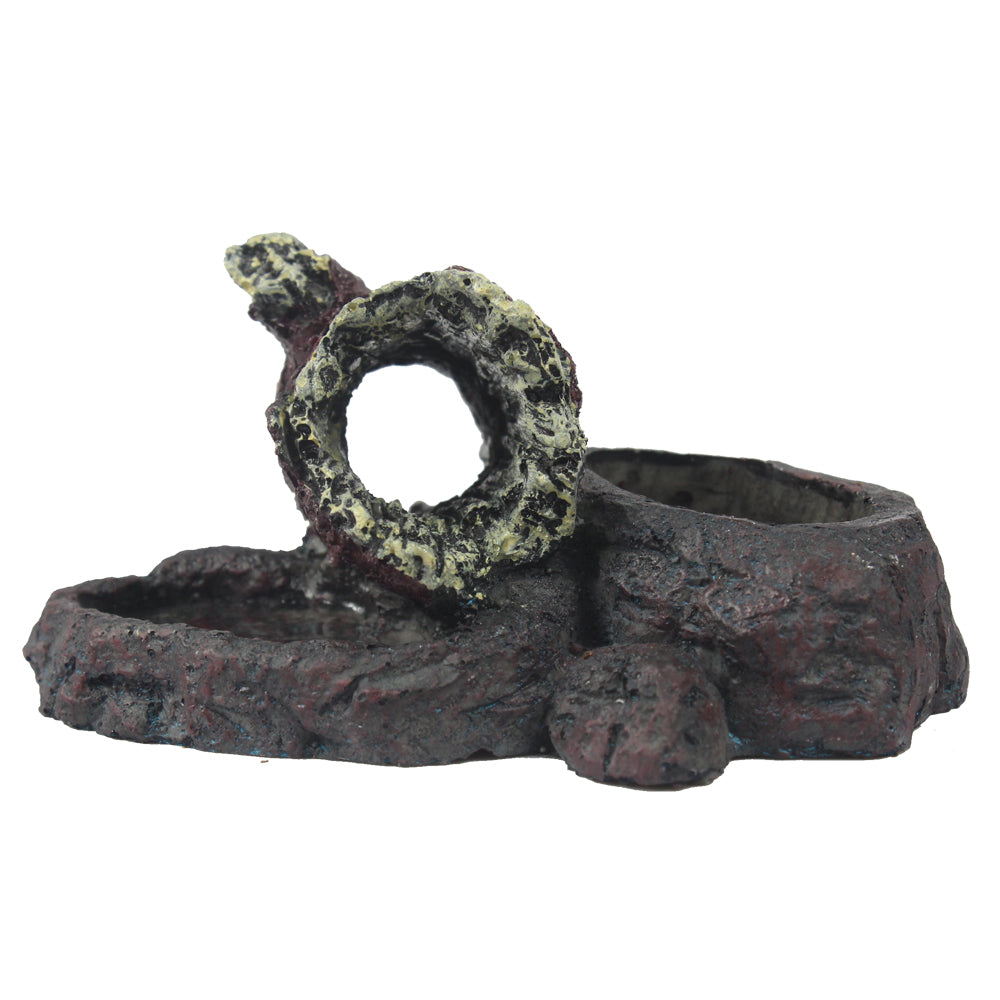 Reptile Resin Combo Food and Water Bowl | Natural Rock