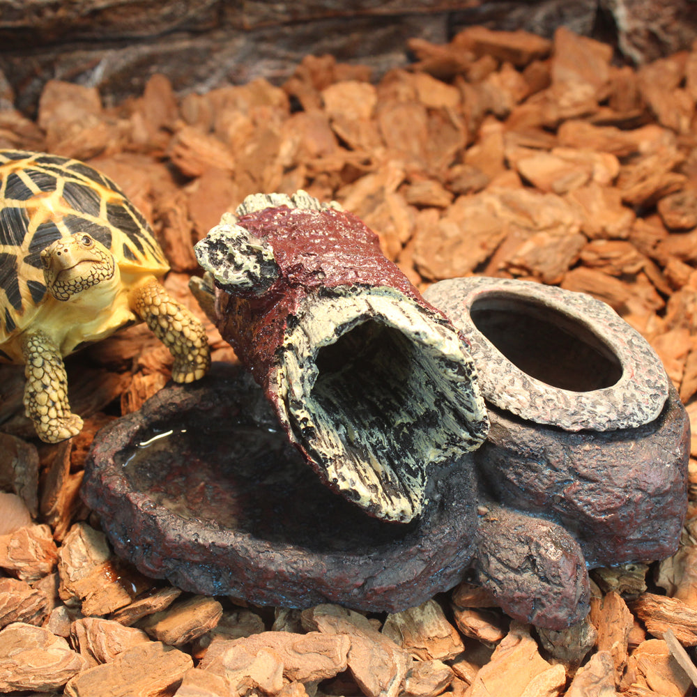 Reptile Resin Combo Food and Water Bowl | Natural Rock