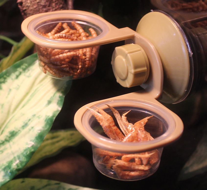 Hanging Reptile Feeder Double | NW-32