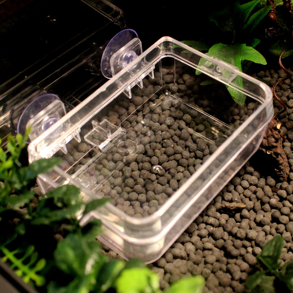 Escape-Proof Feeder Feeding Container for Reptiles | NW-30 | With Suction Cups for Vivariums