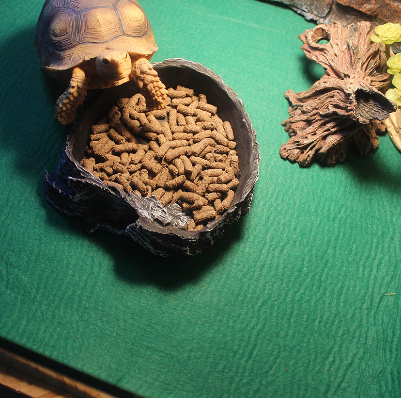 Reptile Flooring Rug for Vivarium | NC-20 | Carpet for Reptile Vivariums