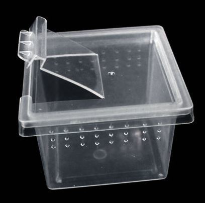 Live Reptile & Feeder Storage Small Square Box | Pack of 5 | Ventilated Insect Storage Tub | Flip Top Lid | H1