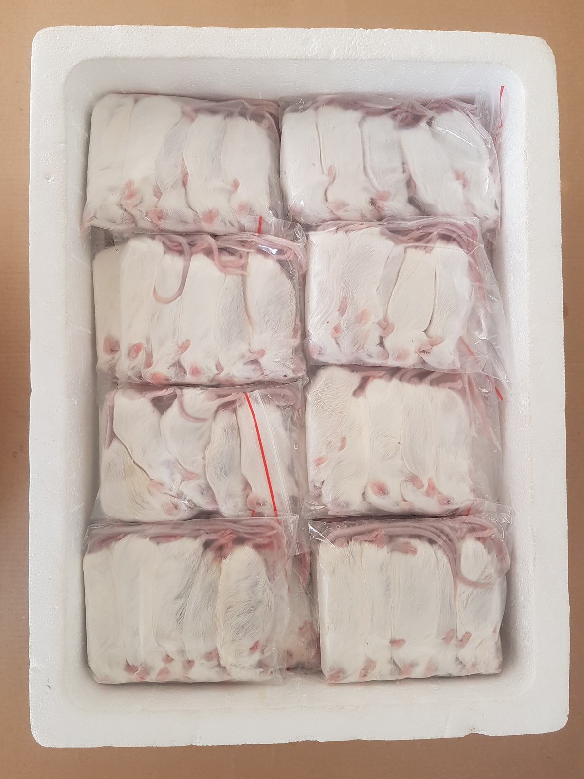 Frozen Adult Mice | Bulk Frozen Mice | Snake Food | Frozen Snake Feeders | Carpet Python Food | Frozen Rodents