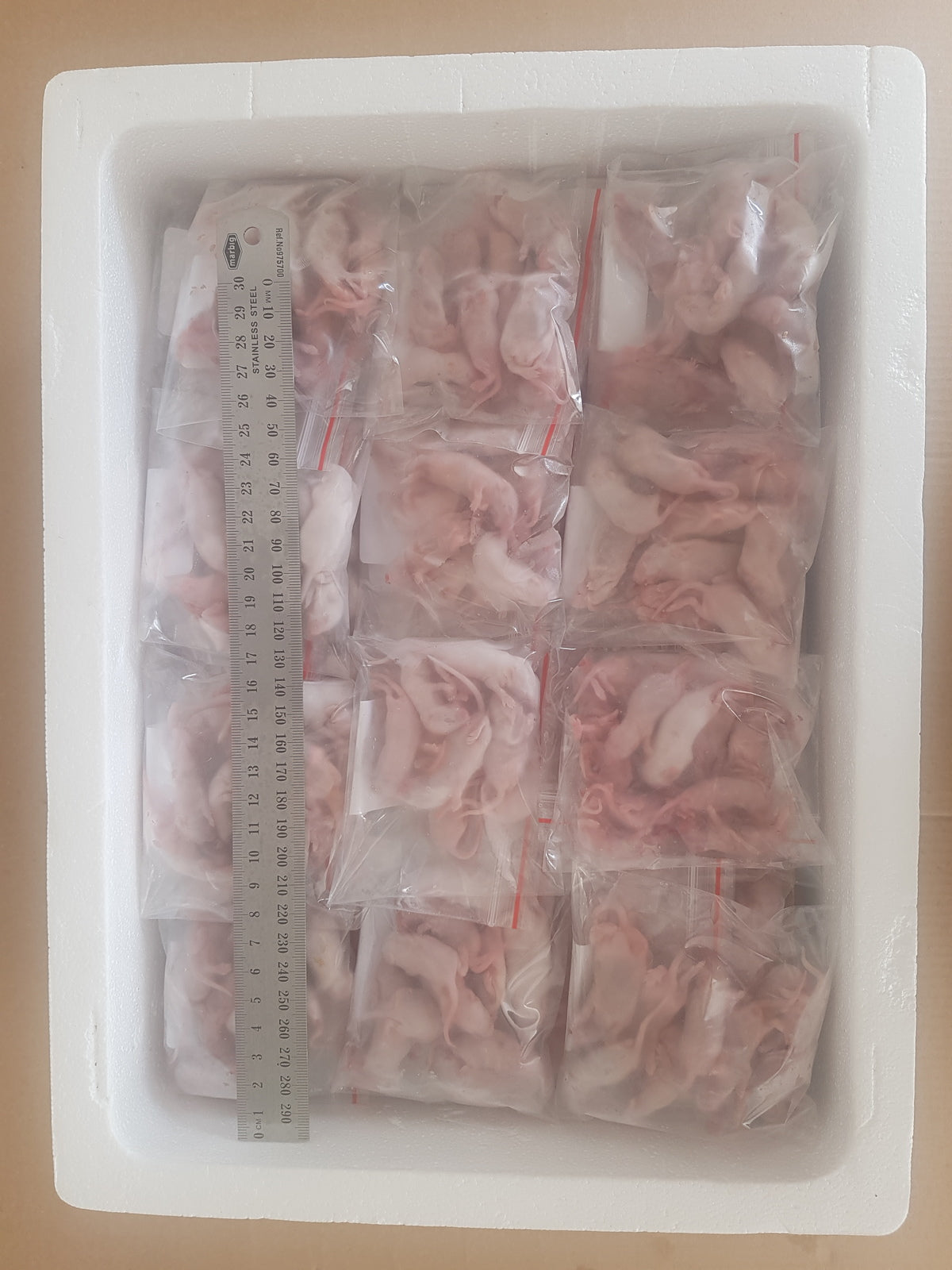 Frozen Fuzzies Mice | Bulk Frozen Mice | Snake Food | Frozen Snake Feeders | Carpet Python Food | Frozen Rodents