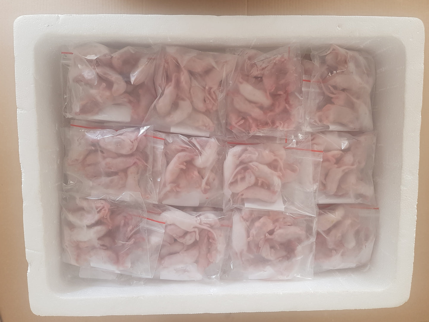 Frozen Fuzzies Mice | Bulk Frozen Mice | Snake Food | Frozen Snake Feeders | Carpet Python Food | Frozen Rodents