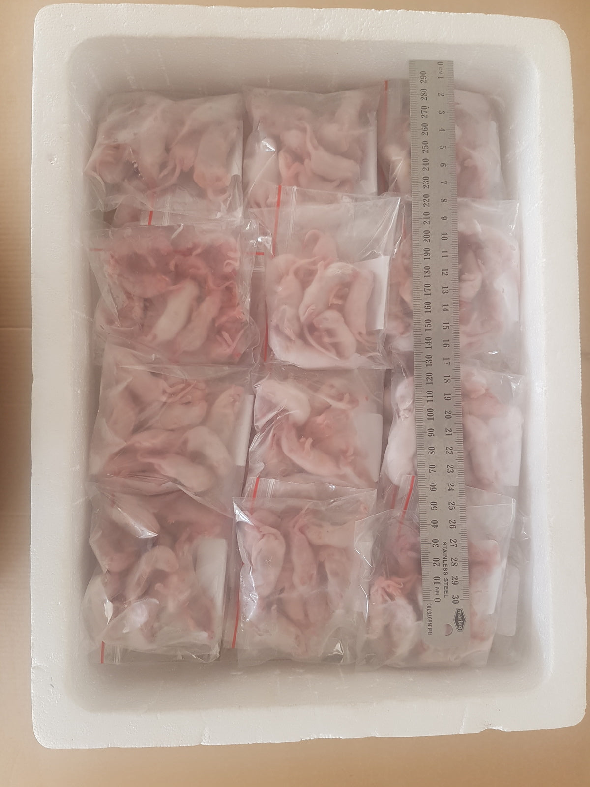 Frozen Fuzzies Mice | Bulk Frozen Mice | Snake Food | Frozen Snake Feeders | Carpet Python Food | Frozen Rodents