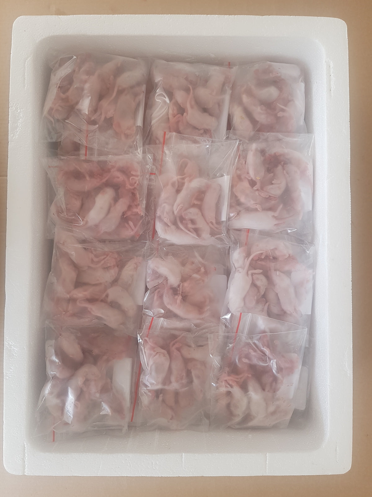 Frozen Fuzzies Mice | Bulk Frozen Mice | Snake Food | Frozen Snake Feeders | Carpet Python Food | Frozen Rodents
