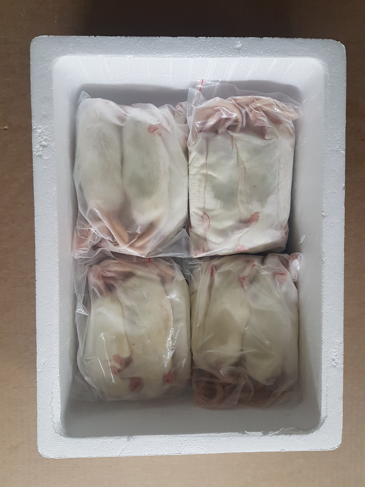 Frozen Medium Rats| Snake Food | Frozen Snake Feeders | Carpet Python Food | Frozen Rodents