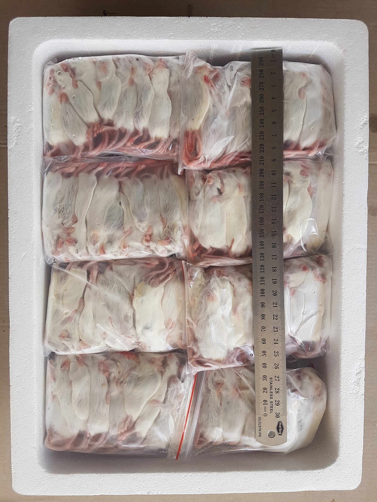 Frozen Weaner Mice | Bulk Frozen Mice | Snake Food | Frozen Snake Feeders | Carpet Python Food | Frozen Rodents