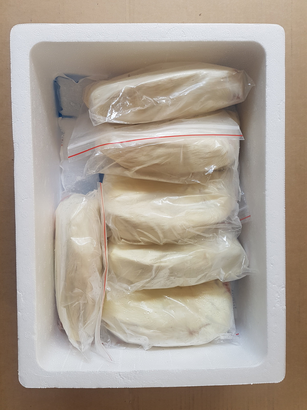 Frozen Mega Jumbo Rats| Snake Food | Frozen Snake Feeders | Carpet Python Food | Frozen Rodents