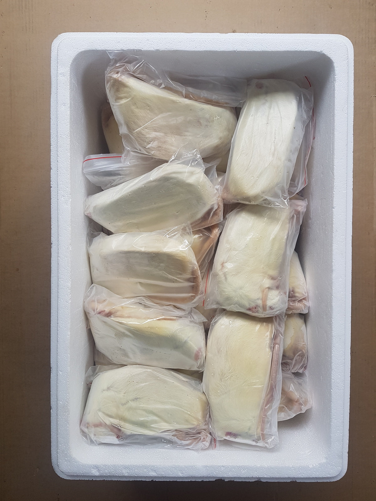 Frozen Mega Jumbo Rats| Snake Food | Frozen Snake Feeders | Carpet Python Food | Frozen Rodents