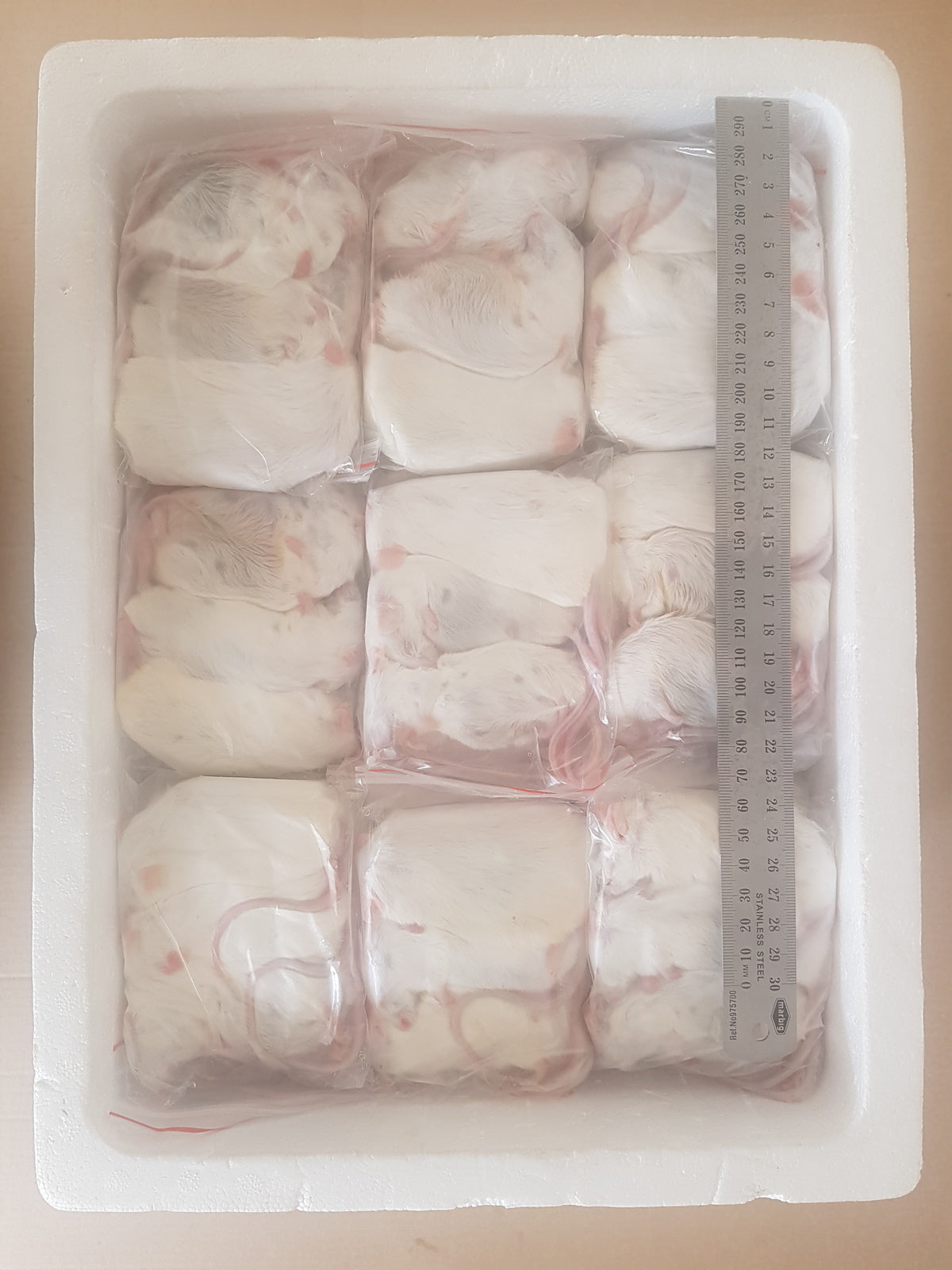 Frozen Extra Large Mice | Bulk Frozen Mice | Snake Food | Frozen Snake Feeders | Carpet Python Food | Frozen Rodents