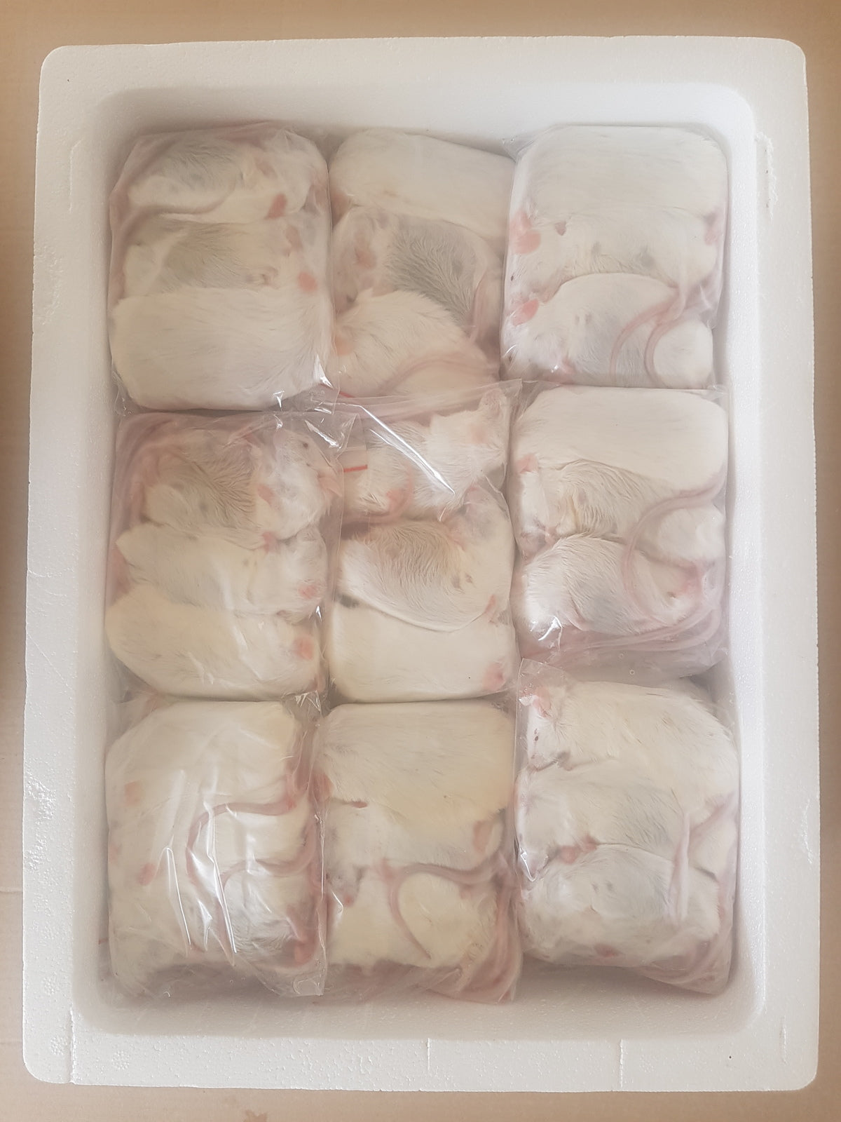 Frozen Extra Large Mice | Bulk Frozen Mice | Snake Food | Frozen Snake Feeders | Carpet Python Food | Frozen Rodents