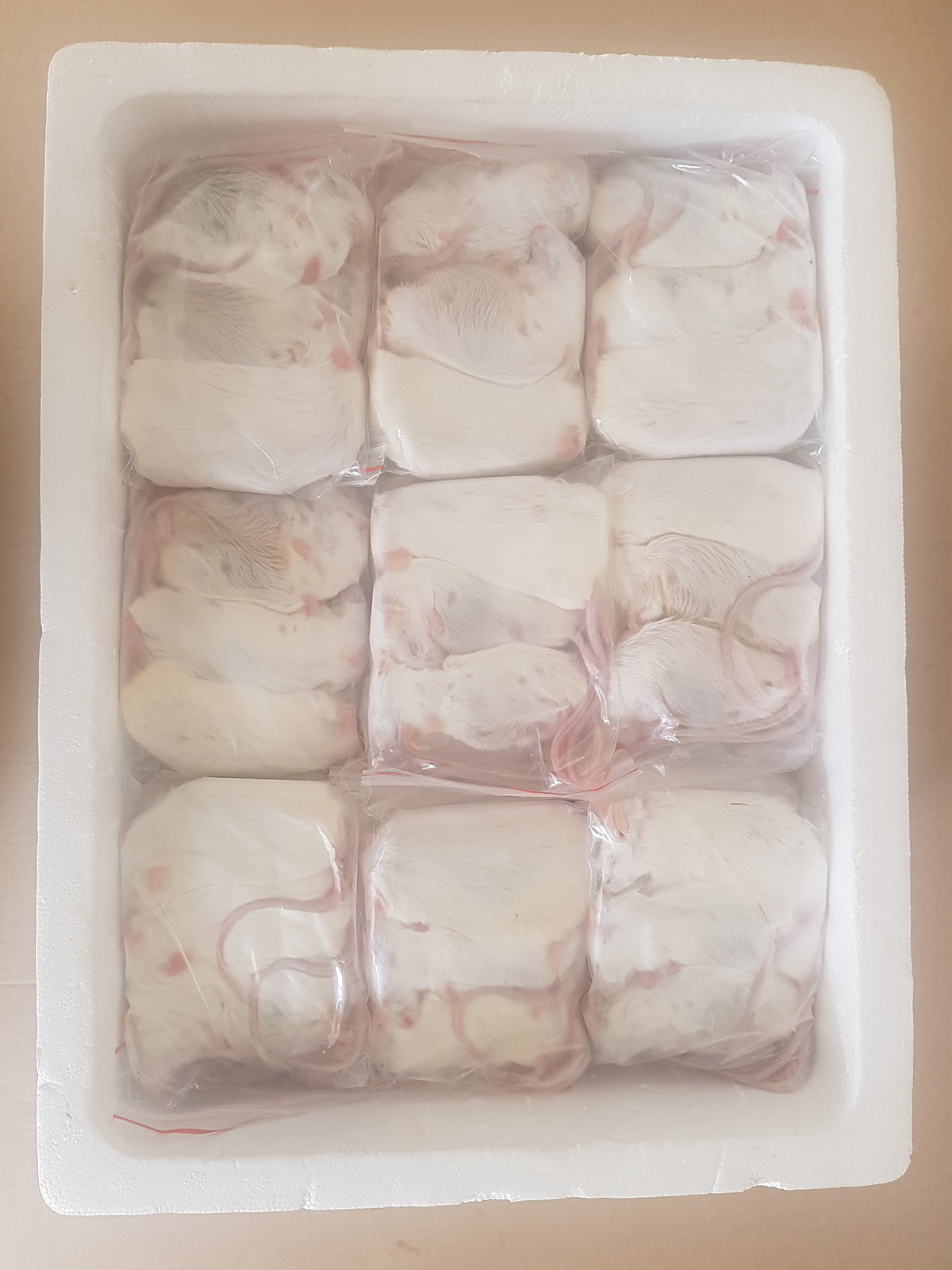 Frozen Extra Large Mice | Bulk Frozen Mice | Snake Food | Frozen Snake Feeders | Carpet Python Food | Frozen Rodents