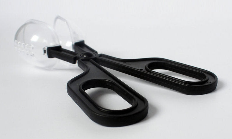 Insect Handling Scissors | For Safe Handling of Live Insects | Reptile Food Handling