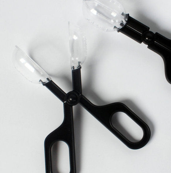Insect Handling Scissors | For Safe Handling of Live Insects | Reptile Food Handling