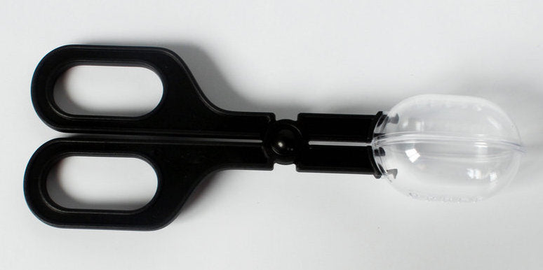 Insect Handling Scissors | For Safe Handling of Live Insects | Reptile Food Handling