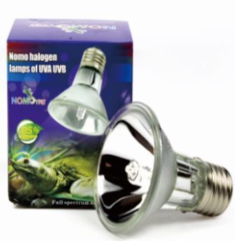 Big UVB Light | Reptile Terrarium Globe | Calcium Supplement Globe | E27 Standard Australian Light Fitting