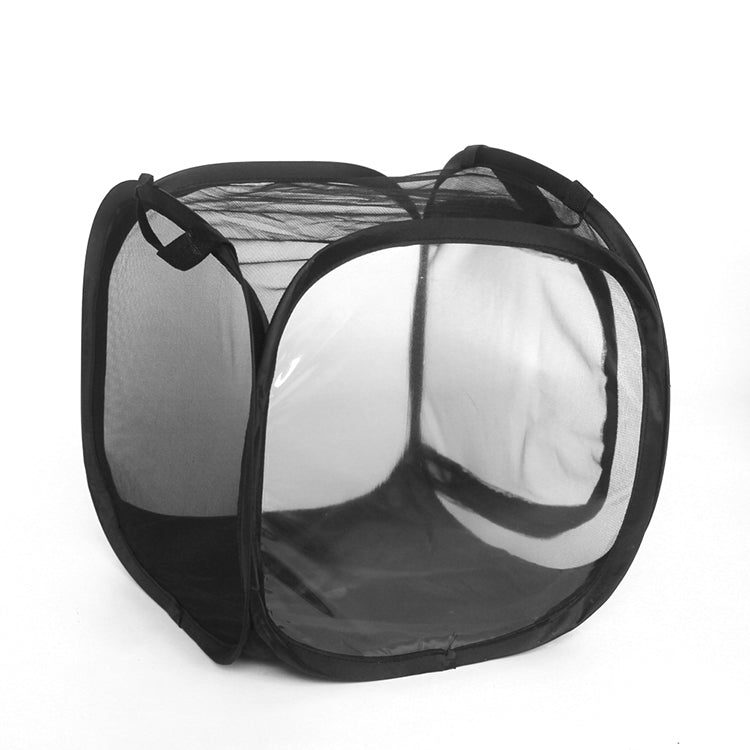 Foldable Insect Cage | Tent For Feeder Insects | Perfect Home for Stick Insects