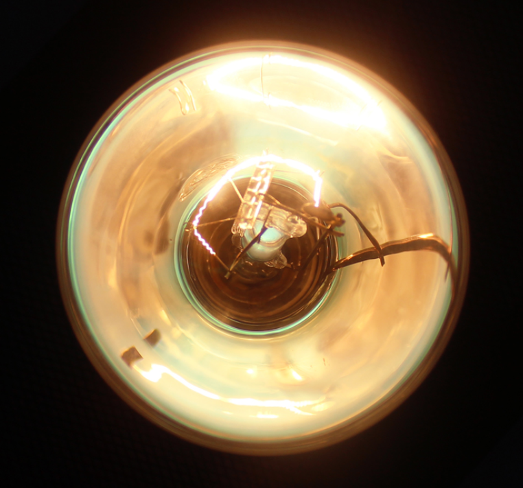 Reptile Sun-Glow High Intensity Big UVB Globe | Calcium Supplement Light | ND-20