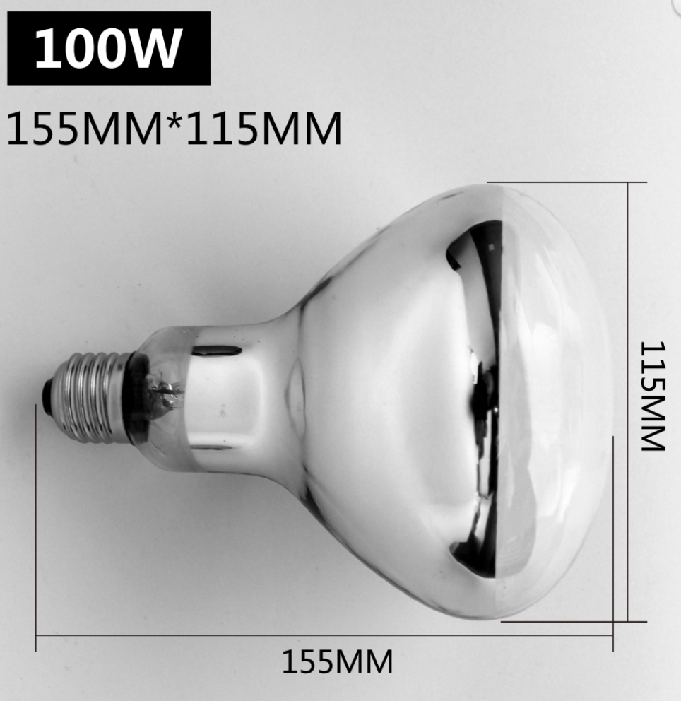 Reptile Sun-Glow High Intensity Big UVB Globe | Calcium Supplement Light | ND-20