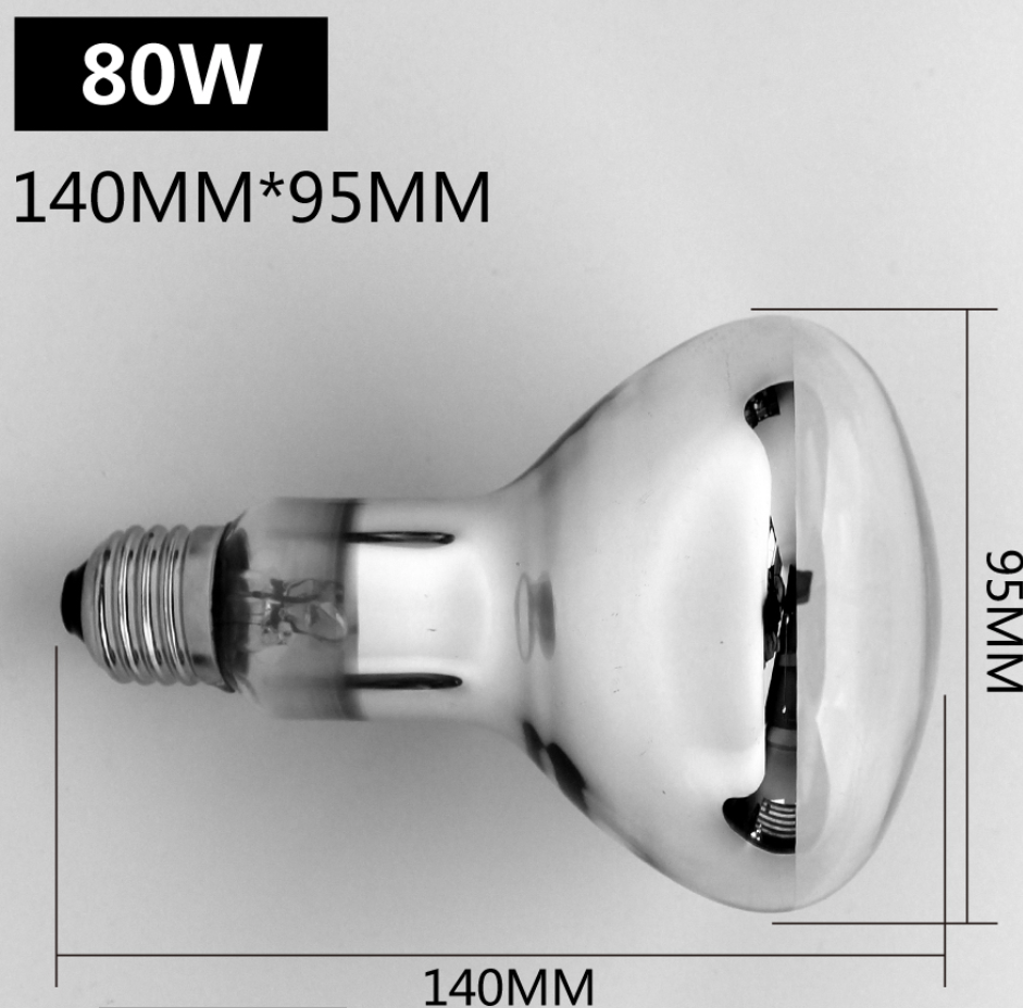 Reptile Sun-Glow High Intensity Big UVB Globe | Calcium Supplement Light | ND-20