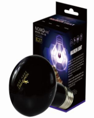 Halogen night store light