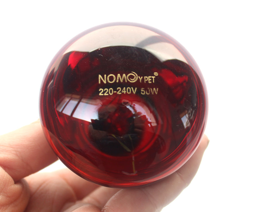 Pet Reptile Infrared Heating Lamp | Reptile heating light globe