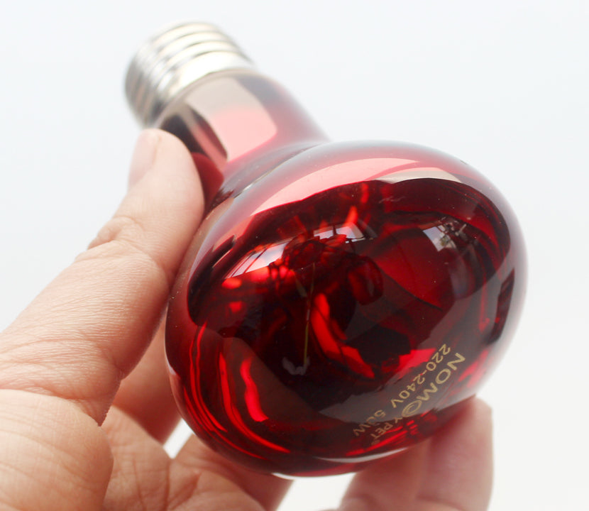 Pet Reptile Infrared Heating Lamp | Reptile heating light globe