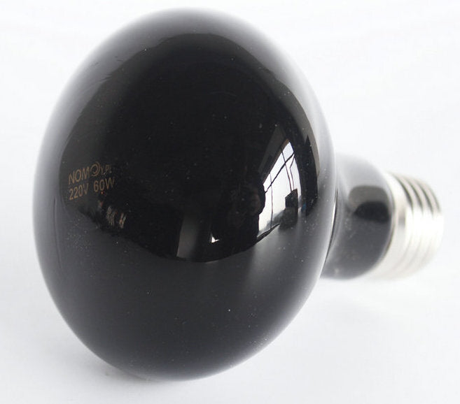 Reptile Moonlight Lamp | Reptile heating and natural night light globe | ND-07