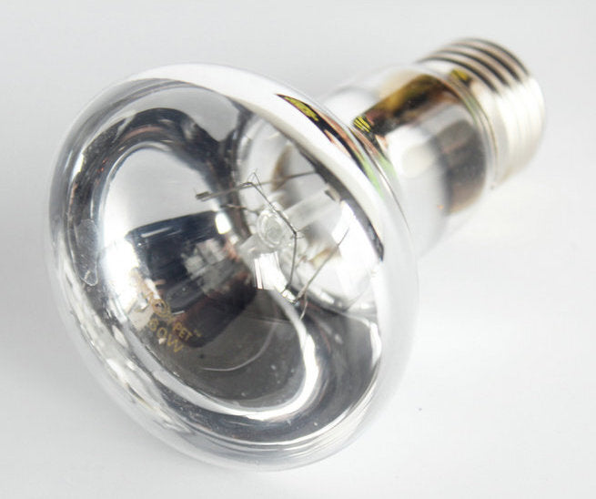 UVA Day Light | Pet Reptile Terrarium Globe